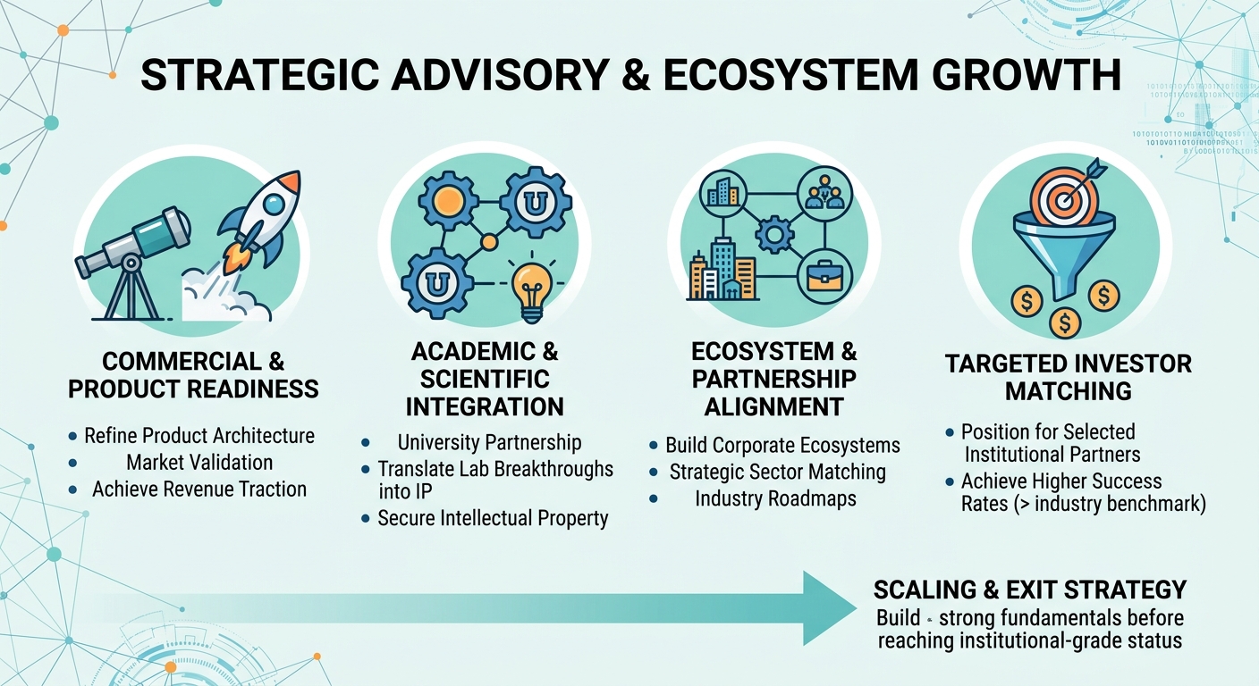 Strategic Advisory Beyond Traditional Venture Capital for Scale-Ups and Research Spin-Outs Liberia
